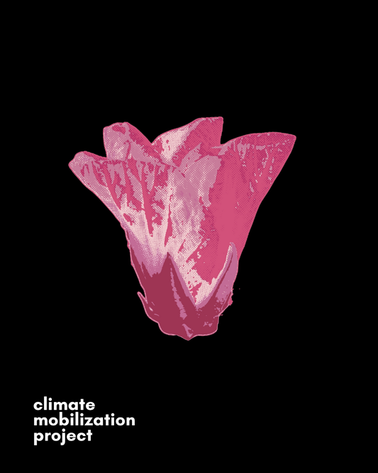 $100 Gift to Climate Mobilization Project